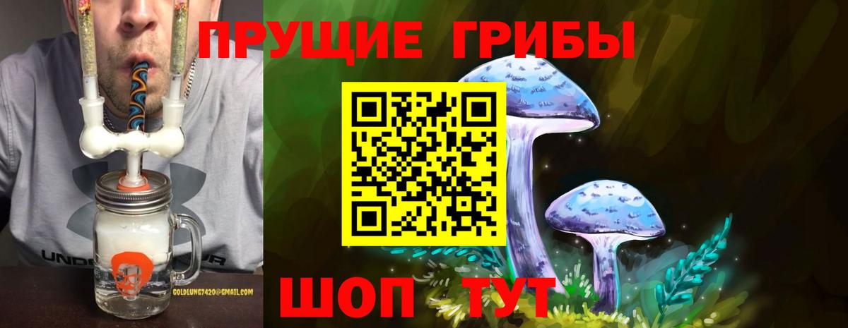 Апатиты  Галлюциногенные грибы MAGIC MUSHROOMS  Вход с VPN 